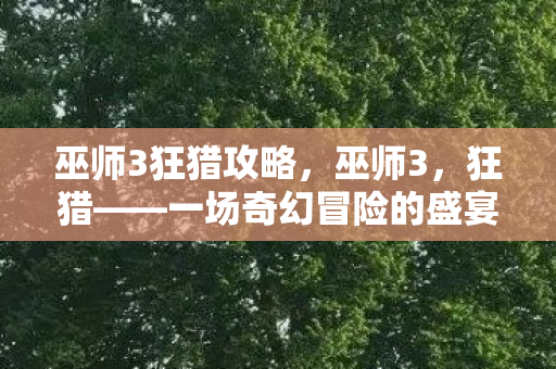 巫师3狂猎攻略，巫师3，狂猎——一场奇幻冒险的盛宴