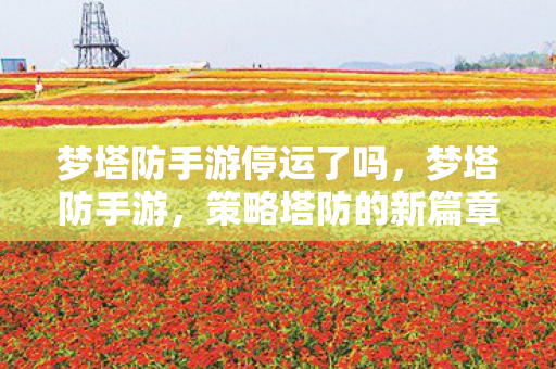 梦塔防手游停运了吗，梦塔防手游，策略塔防的新篇章