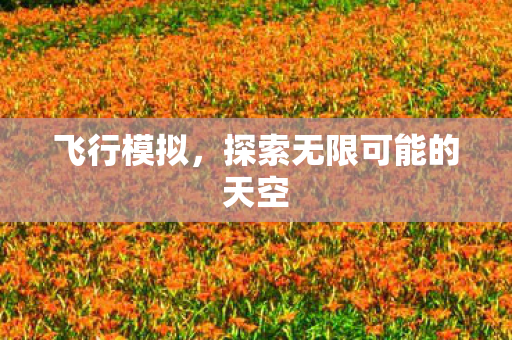 飞行模拟，探索无限可能的天空