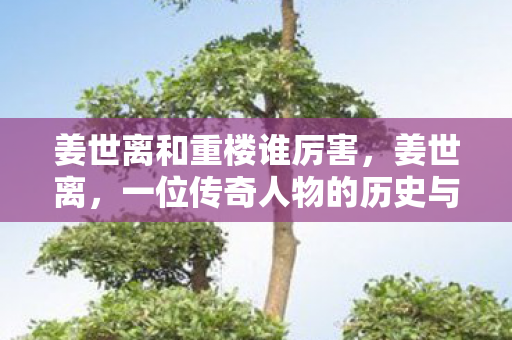 姜世离和重楼谁厉害，姜世离，一位传奇人物的历史与传说