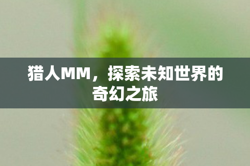 猎人MM，探索未知世界的奇幻之旅