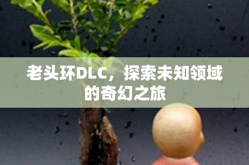 老头环DLC，探索未知领域的奇幻之旅