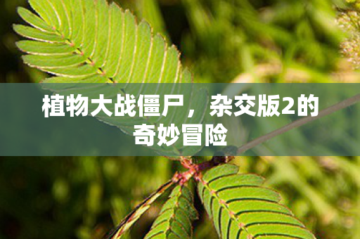 植物大战僵尸，杂交版2的奇妙冒险