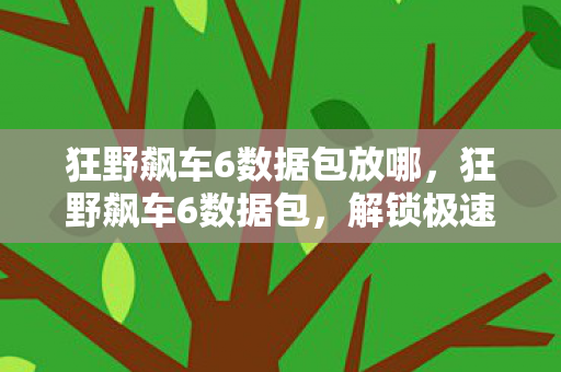 狂野飙车6数据包放哪图片