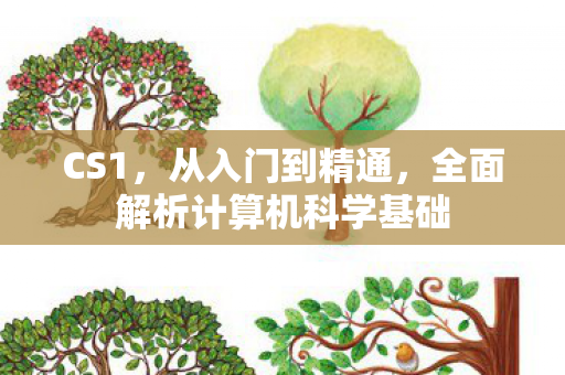 CS1，从入门到精通，全面解析计算机科学基础