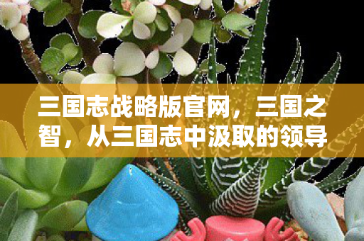 三国志战略版官网,三国之智,从三国志中汲取的领导力智慧 三国志战略版官网,三国之智,从三国志中汲取的领导力智慧