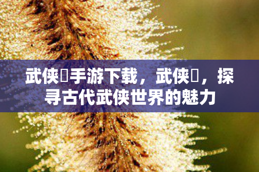 武侠乂手游下载，武侠乂，探寻古代武侠世界的魅力