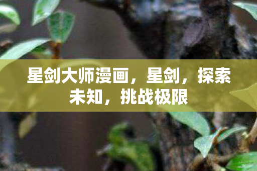 星剑大师漫画，星剑，探索未知，挑战极限