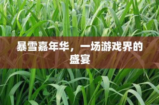 暴雪嘉年华，一场游戏界的盛宴