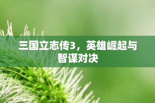 三国立志传3，英雄崛起与智谋对决