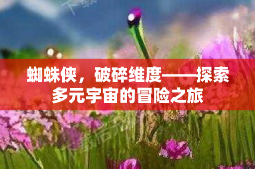 蜘蛛侠，破碎维度——探索多元宇宙的冒险之旅