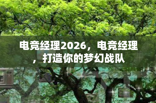 电竞经理2026，电竞经理，打造你的梦幻战队