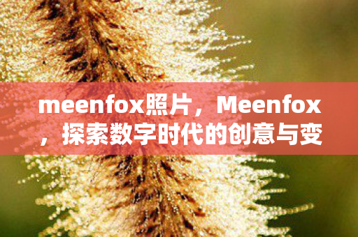 meenfox照片,Meenfox,探索数字时代的创意与变革 meenfox照片,Meenfox,探索数字时代的创意与变革