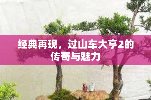 经典再现，过山车大亨2的传奇与魅力