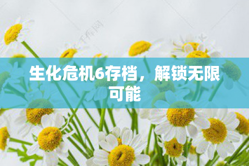 生化危机6存档，解锁无限可能