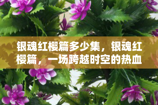 银魂红樱篇多少集，银魂红樱篇，一场跨越时空的热血与温情