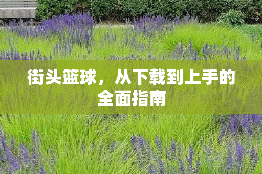 街头篮球，从下载到上手的全面指南