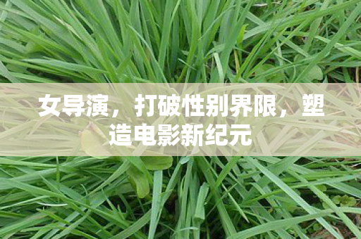 女导演,打破性别界限,塑造电影新纪元 女导演,打破性别界限,塑造电影新纪元