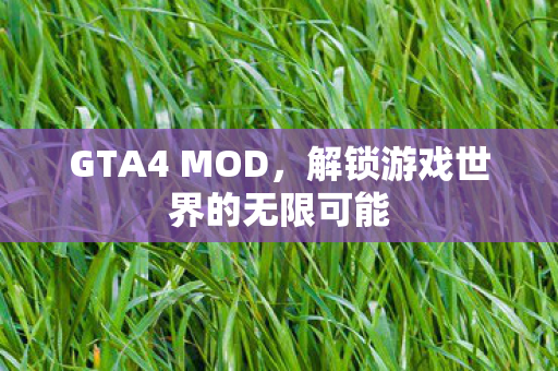 GTA4 MOD，解锁游戏世界的无限可能