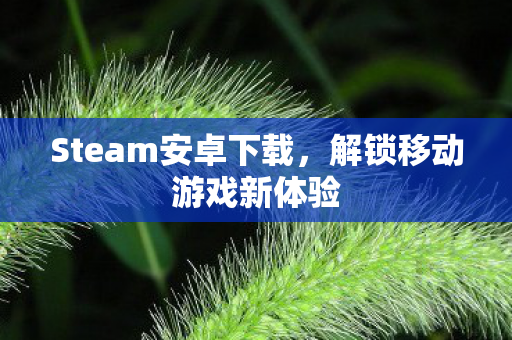 Steam安卓下载，解锁移动游戏新体验