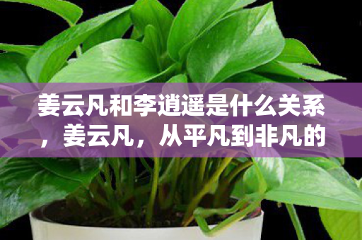 姜云凡和李逍遥是什么关系，姜云凡，从平凡到非凡的仙侠之旅