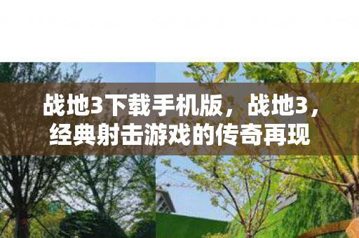 战地3下载手机版,战地3,经典射击游戏的传奇再现 战地3下载手机版,战地3,经典射击游戏的传奇再现