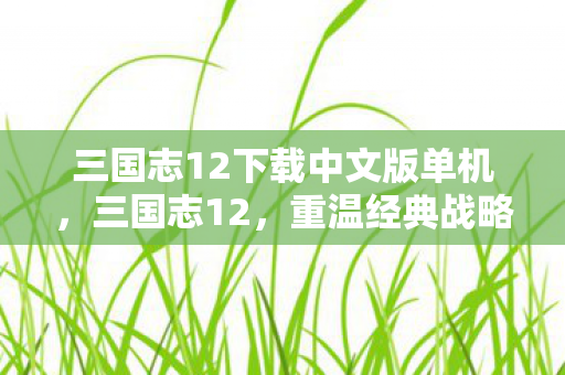 三国志12下载中文版单机，三国志12，重温经典战略游戏的魅力