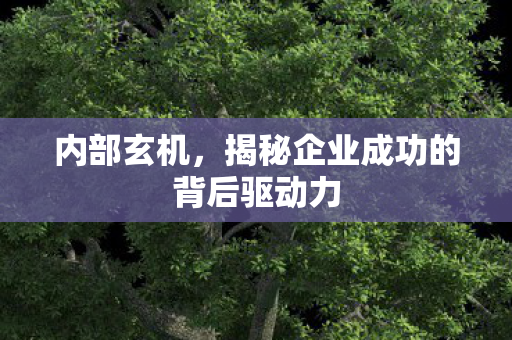 内部玄机，揭秘企业成功的背后驱动力