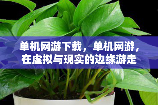 单机网游下载，单机网游，在虚拟与现实的边缘游走