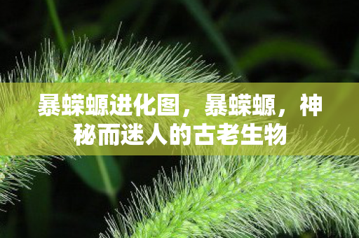 暴蝾螈进化图，暴蝾螈，神秘而迷人的古老生物