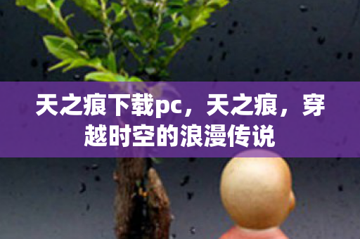 天之痕下载pc,天之痕,穿越时空的浪漫传说 天之痕下载pc,天之痕,穿越时空的浪漫传说