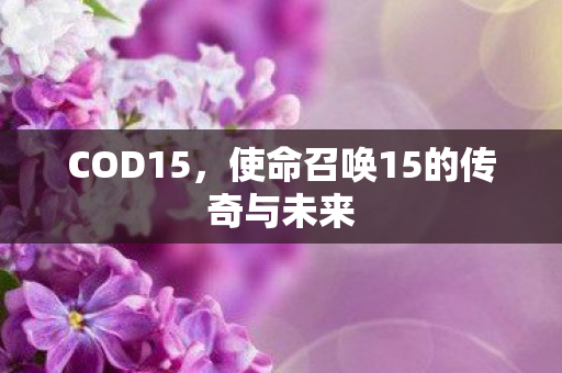 COD15，使命召唤15的传奇与未来