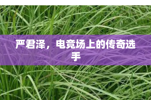 严君泽，电竞场上的传奇选手