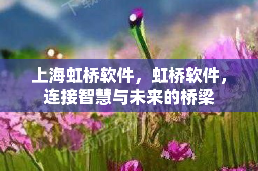 上海虹桥软件，虹桥软件，连接智慧与未来的桥梁
