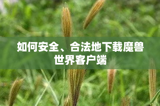 如何安全、合法地下载魔兽世界客户端