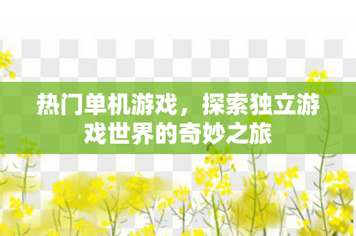 热门单机游戏，探索独立游戏世界的奇妙之旅