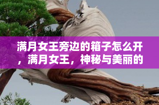 满月女王旁边的箱子怎么开,满月女王,神秘与美丽的传奇 满月女王旁边的箱子怎么开,满月女王,神秘与美丽的传奇
