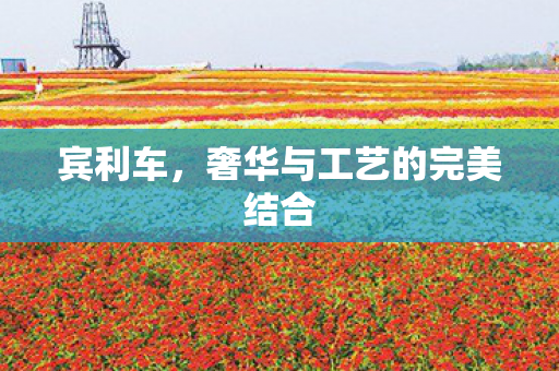 宾利车，奢华与工艺的完美结合