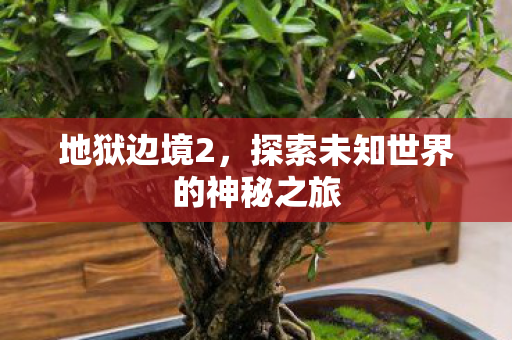 地狱边境2，探索未知世界的神秘之旅