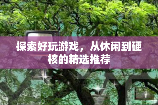 探索好玩游戏，从休闲到硬核的精选推荐