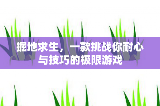 掘地求生，一款挑战你耐心与技巧的极限游戏