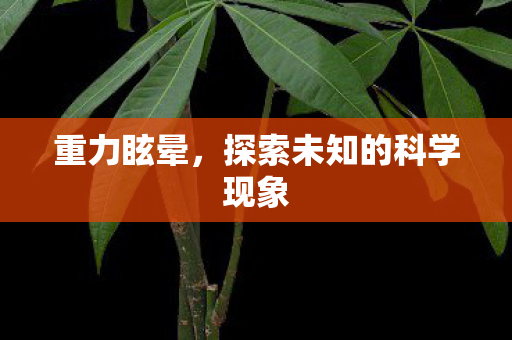 重力眩晕，探索未知的科学现象
