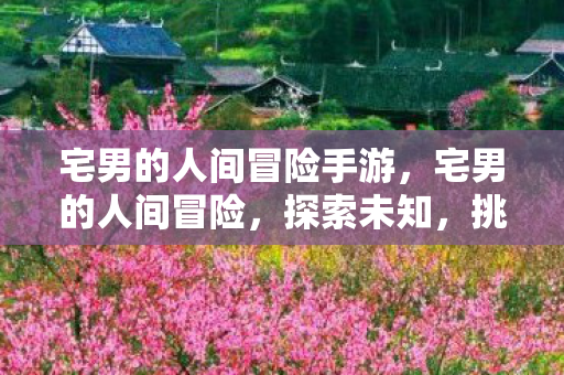 宅男的人间冒险手游，宅男的人间冒险，探索未知，挑战自我