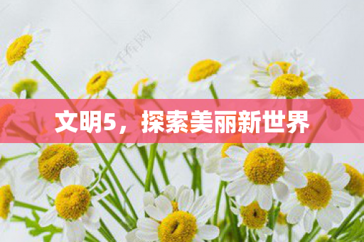 文明5,探索美丽新世界 文明5,探索美丽新世界