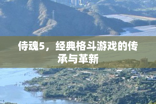 侍魂5，经典格斗游戏的传承与革新