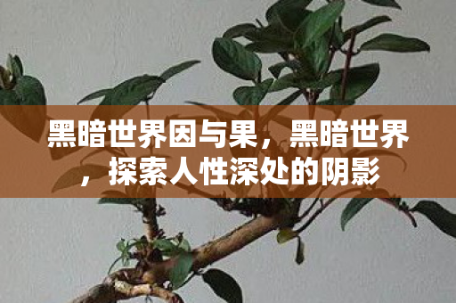 黑暗世界因与果，黑暗世界，探索人性深处的阴影