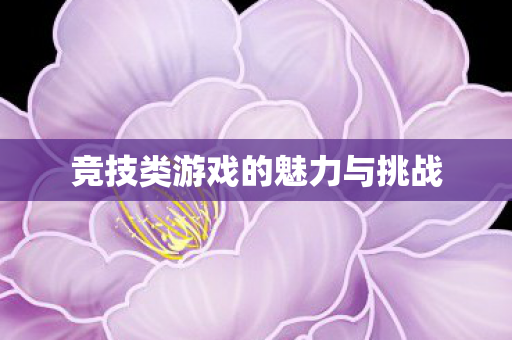 竞技类游戏的魅力与挑战