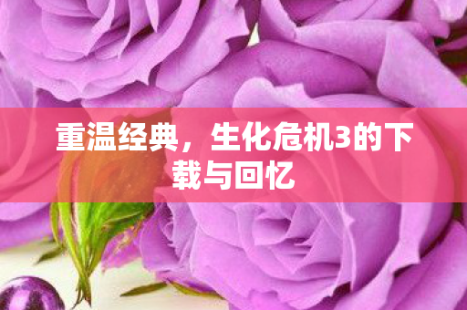 重温经典，生化危机3的下载与回忆
