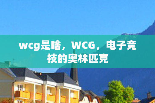 wcg是啥，WCG，电子竞技的奥林匹克