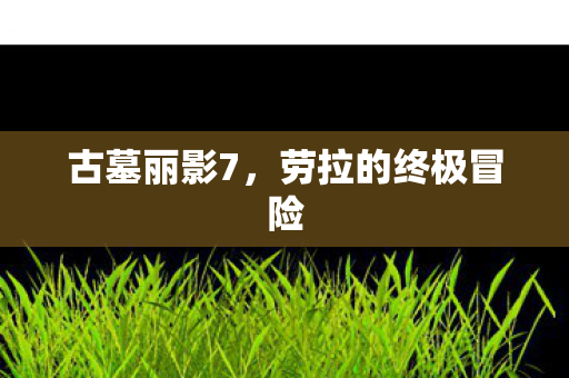 古墓丽影7，劳拉的终极冒险
